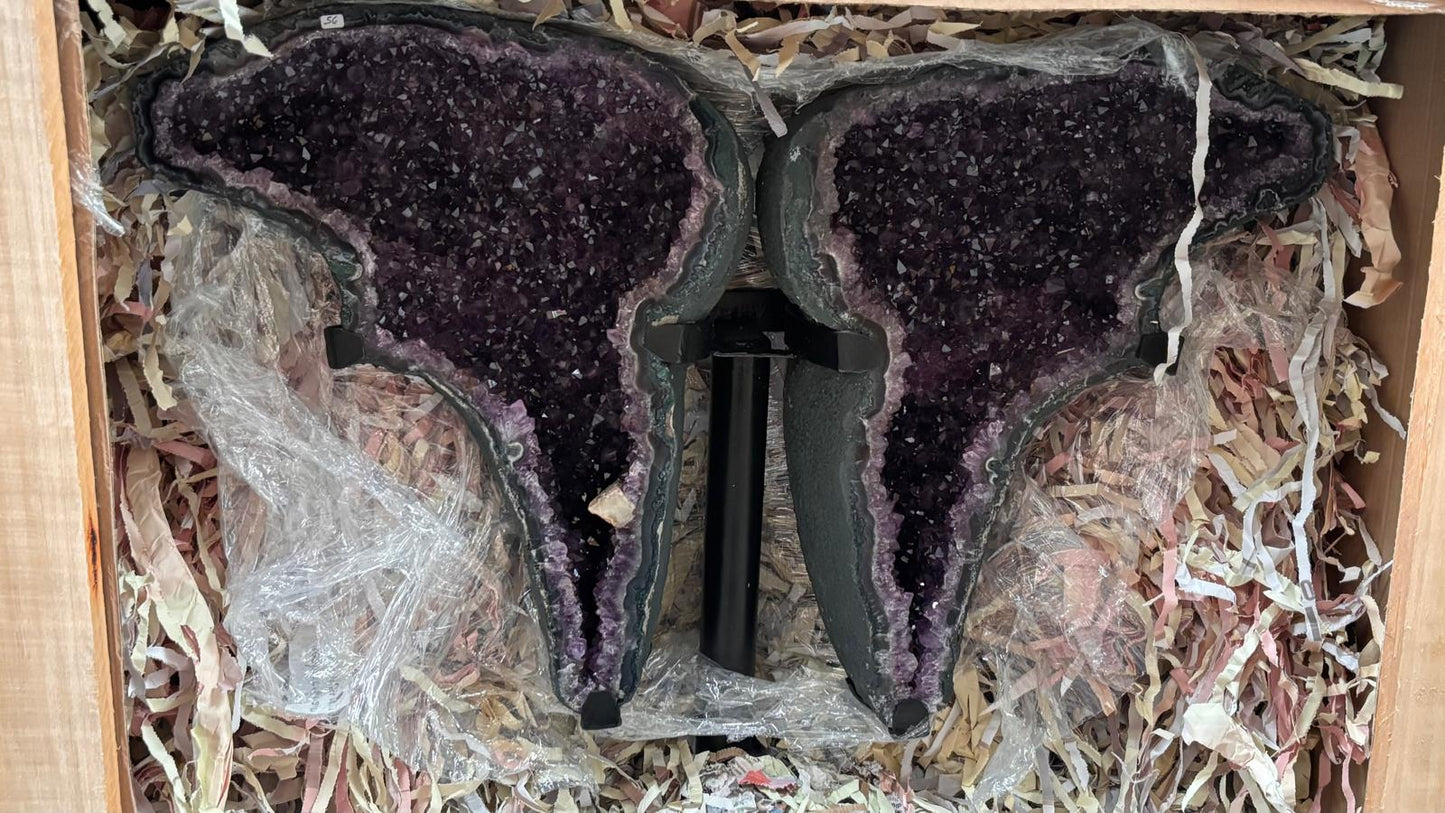 MARIPOSA DE AMATISTA